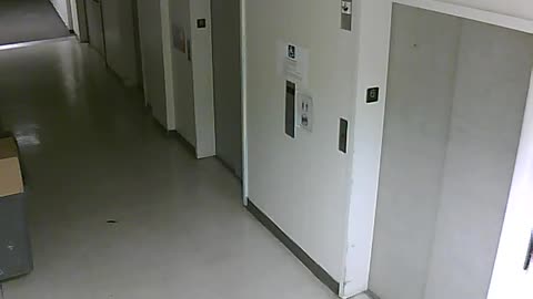 3904PSQB06FreightLobbyRear_2021-01-05_20h20min01s927ms.mp4