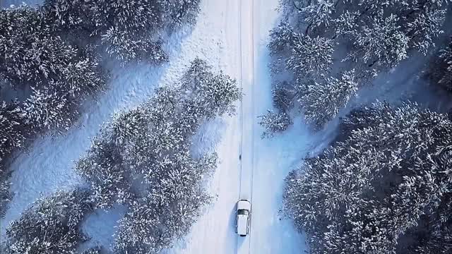 Through the snow