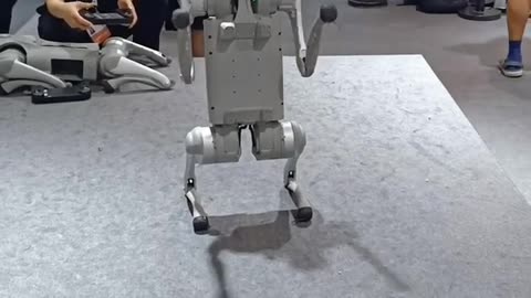 China's Robot like real man moves