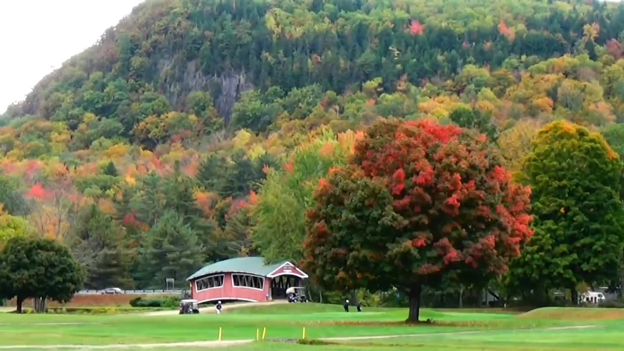Fall Foliage