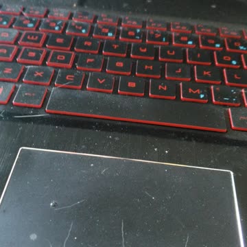 When cat love you pt.3