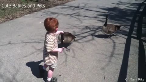 Animals Scaring People Compilation