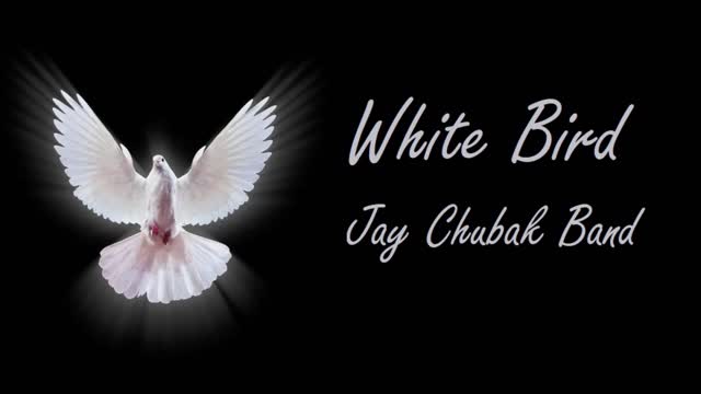 JAY CHUBAK BAND - WHITE BAND