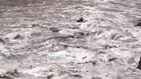 Incredible Moments Caught on Camera