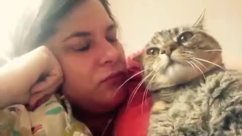 Talking cat says NO! to kisses on the head