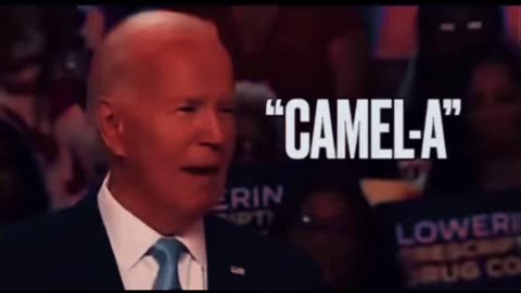 Mumbling Joe Biden WTF ?