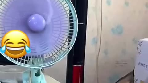 Funny Movements Caught
