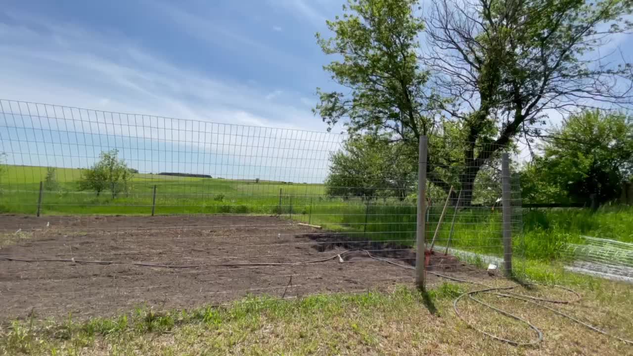 Peaceful Country Garden Just Planted Birds Chirping