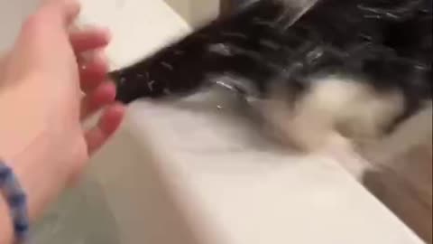 Not cool bro 🤣🤣🤣