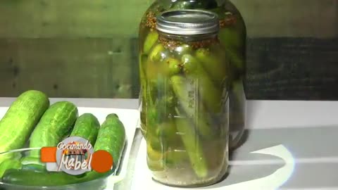 PEPINILLOS FERMENTADOS