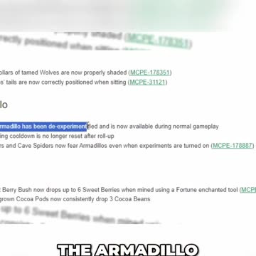 The NEW Era of Minecraft: No More Armadillo Experiments!