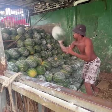 Everything is just a talent