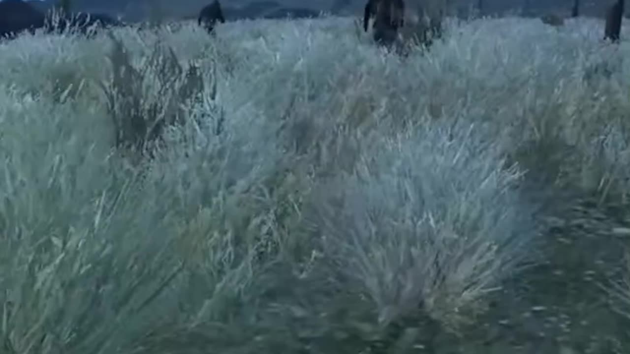 I Met Jason The Terrible In DayZ