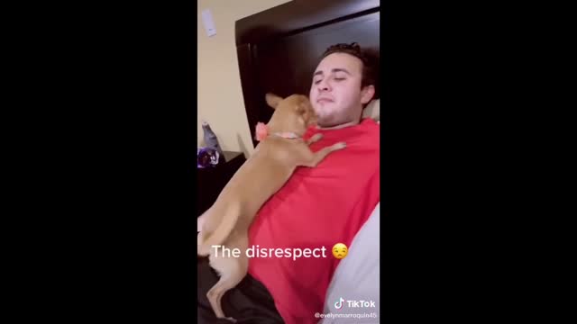 Show me your pet is Clingy without Telling me | TikTok Challenge