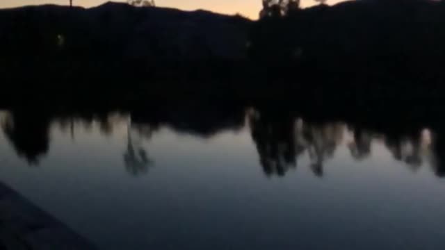 Evening on the river