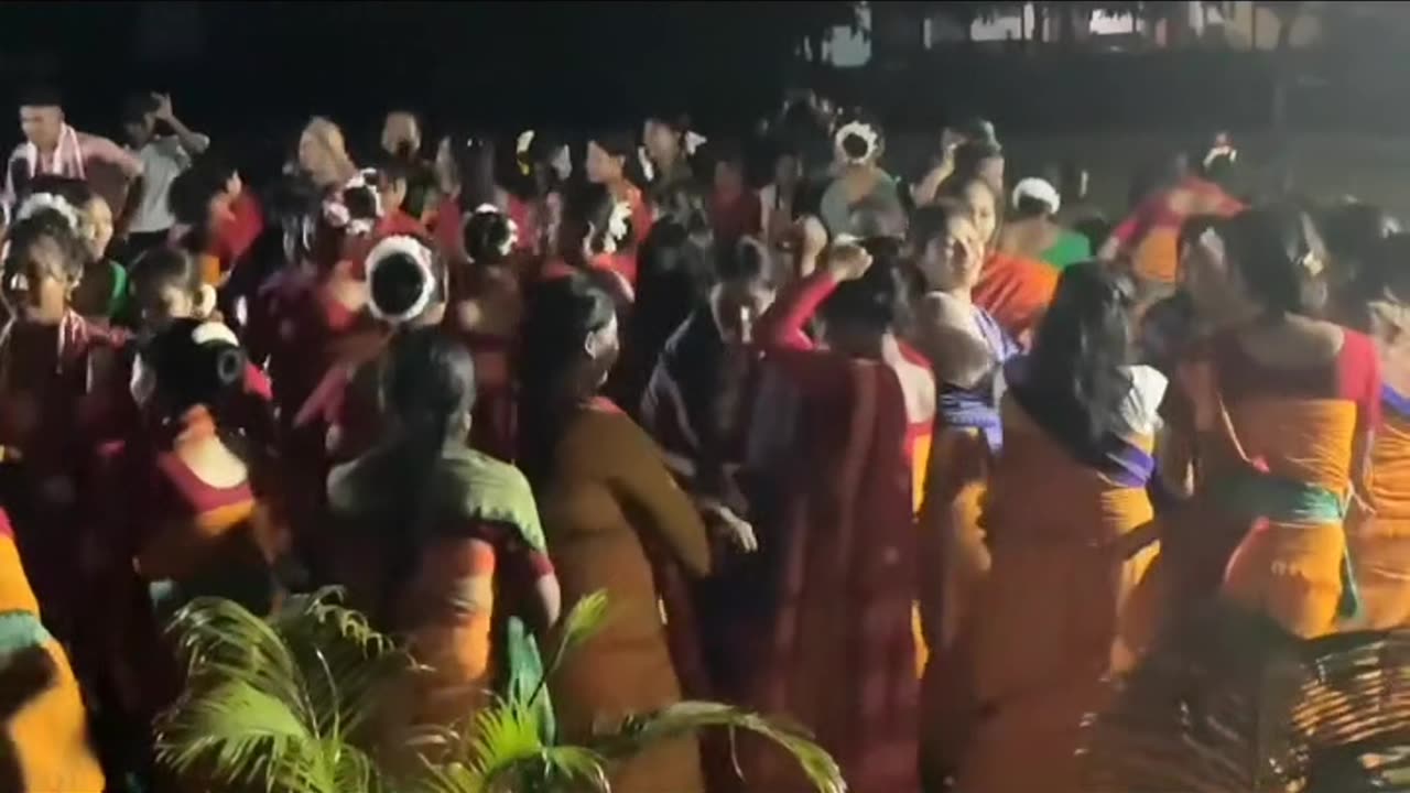 Party time with friends on my private ground