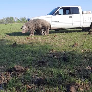 Hanging out with Bigboy