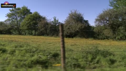 DE RETOUR D’IRAK, ELLE NOUS AVERTIT : « VOUS ALLEZ CONNAÎTRE LA MÊME CHOSE… »