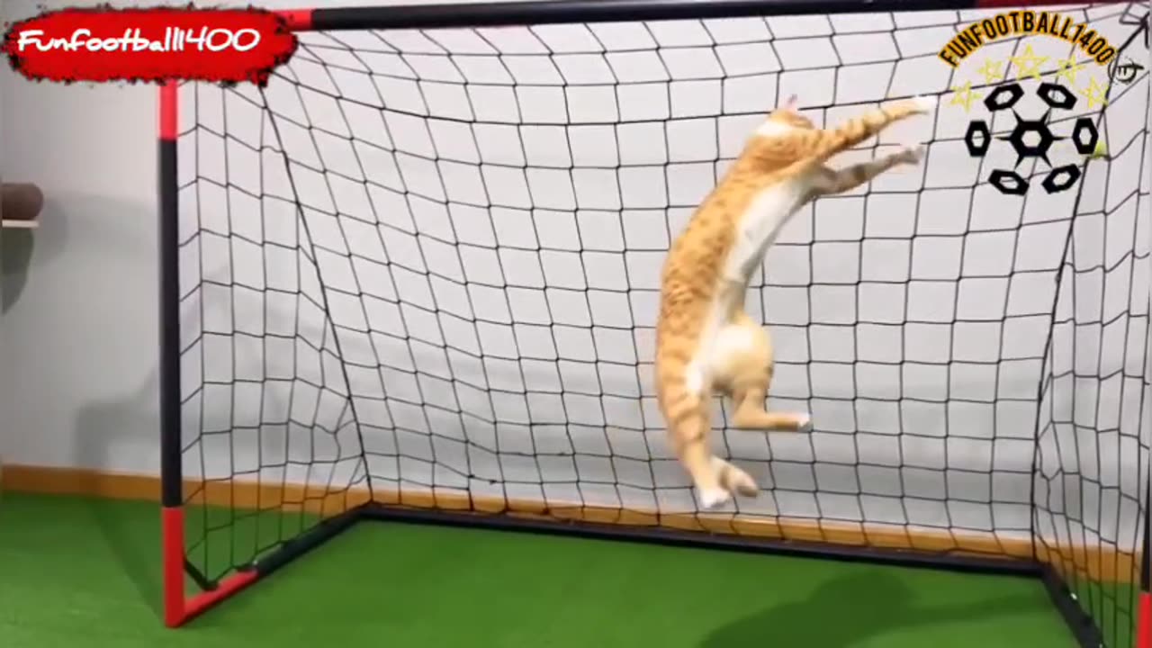 Goalkeeper