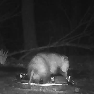 EA S79 - King of the Food Tin