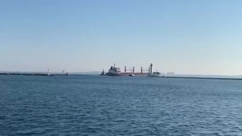 Four more food ships have left Ukrainian ports