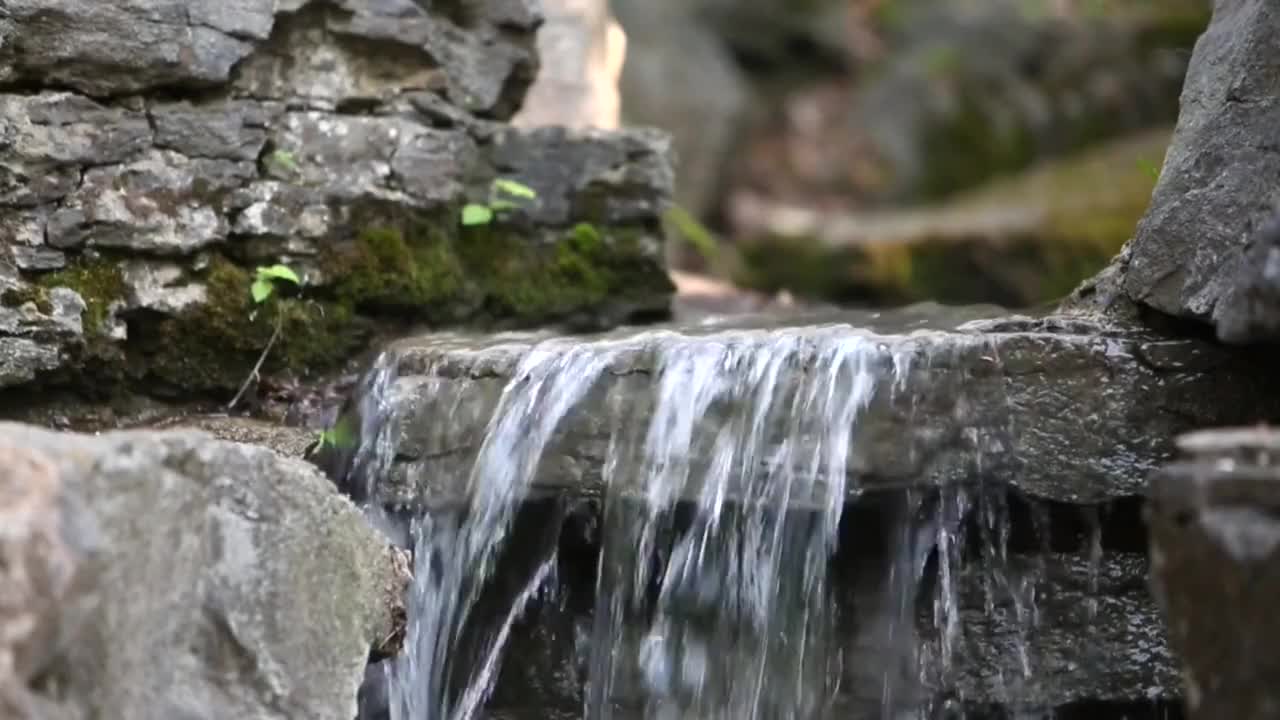 Som de Água Corrente e Pássaros - Natureza - Paisagem - 4 Horas