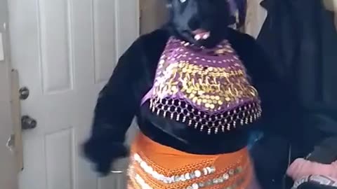 Tito was curious thats is all