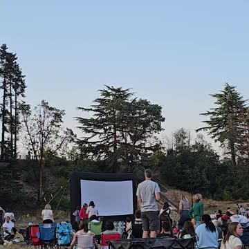 Found Kid On Top Of Tree 😅