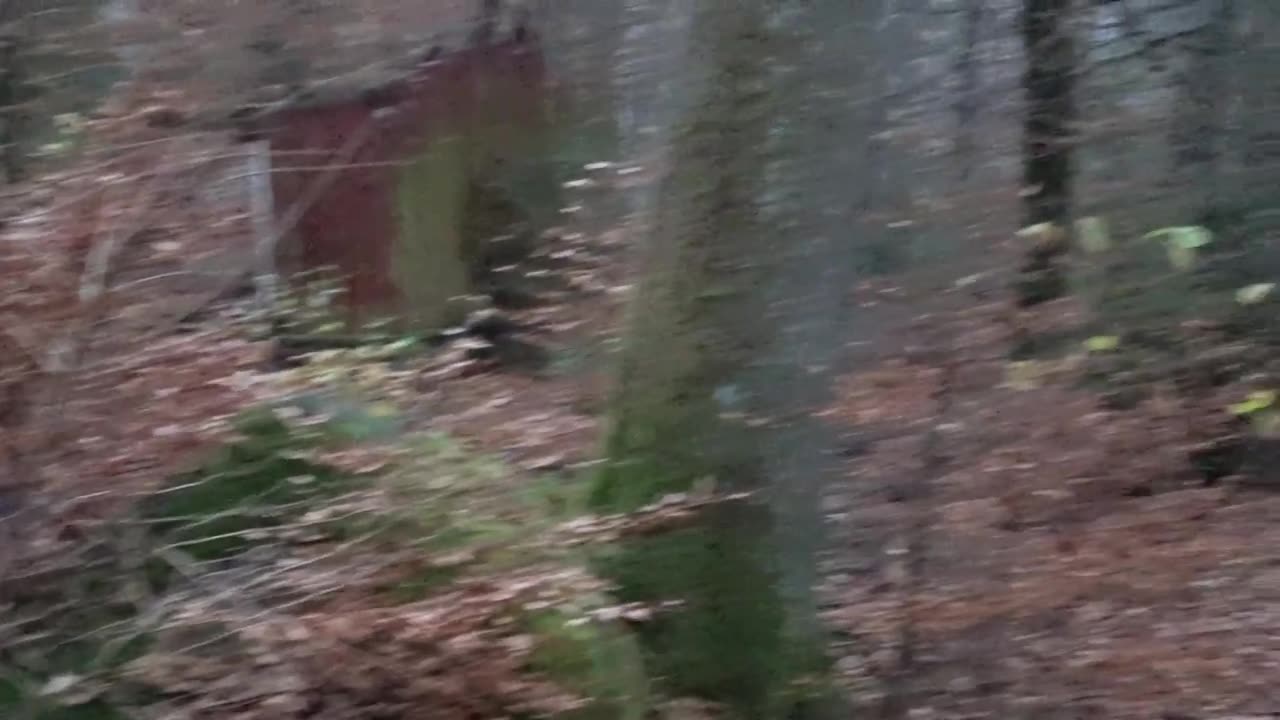 Barnkolonin Lilla och Stora Bjärnum 9 Nov. 2017