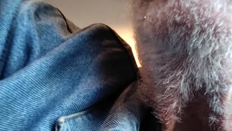 A shout-out to my friends at KCLA and other stations