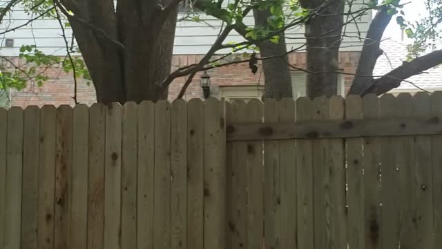 Faith like Dolly Parton's Mom