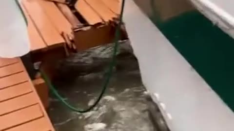 nature vs boat