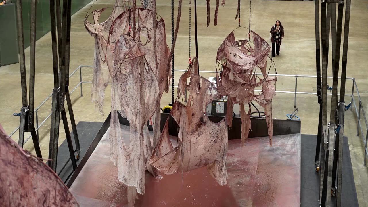 New Mire Lee installation explores 'regeneration and decay'