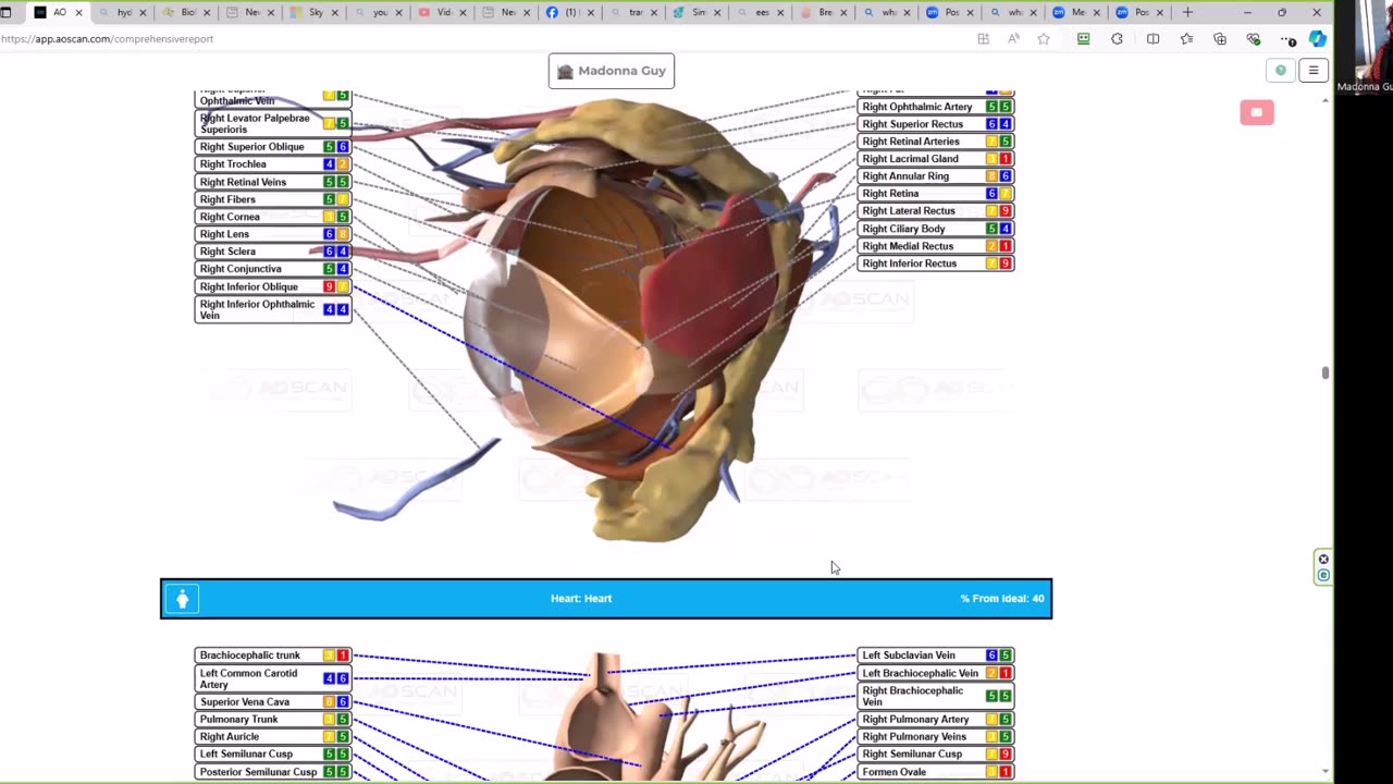 Tip of the Day - Suffering Light Toxicity? Bioresonance, Herbals, Sprays, Stem Cells, ASEA & More!