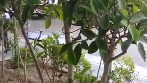 So amazing fight........