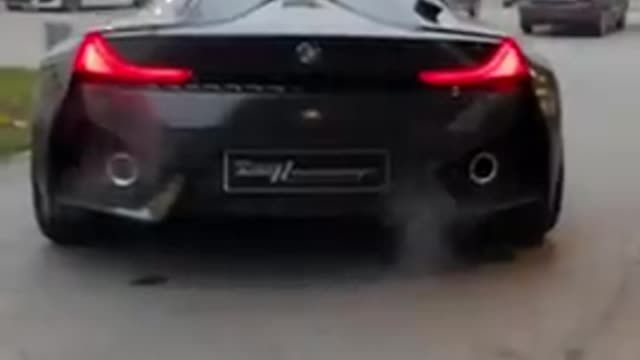 The Rarest BMW in the World