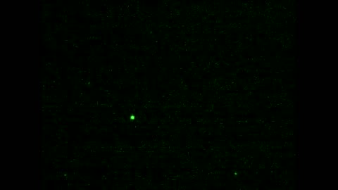 Observation Evening Trip Ontario Quebec Lines Three Fast Moving Ufo's & Hundreds More -New Region