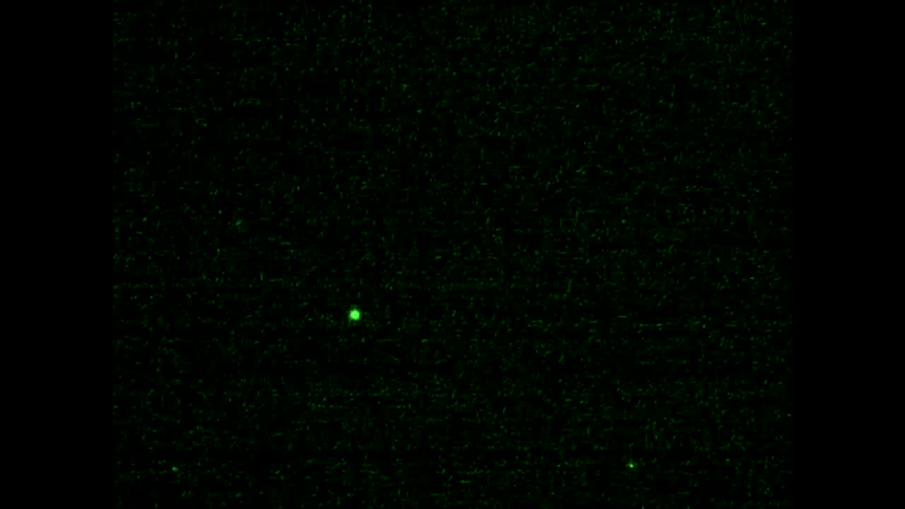 Observation Evening Trip Ontario Quebec Lines Three Fast Moving Ufo's & Hundreds More -New Region