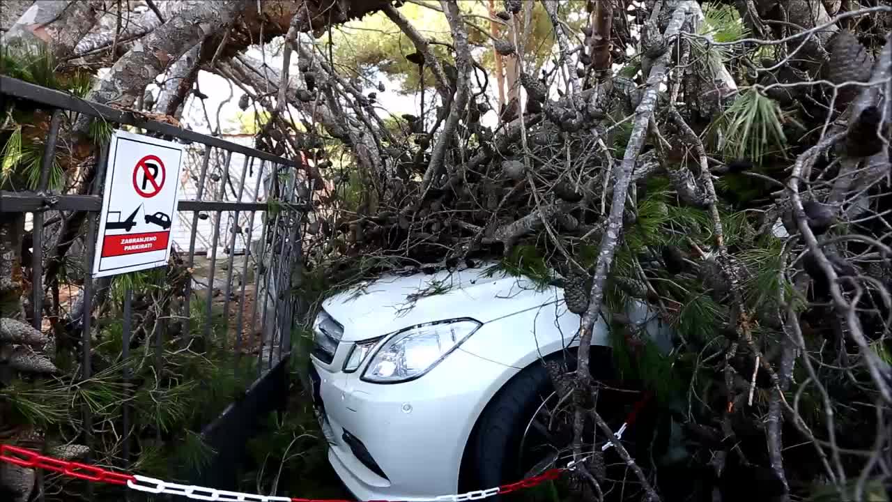 Na Jadriji stabla oštetila aute