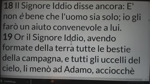2020.10.10-Eliseo.Bonanno-GLI ANIMALI NON ERANO UNA COMPAGNIA PER ADAMO