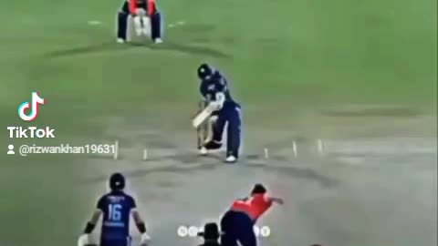 Cricket