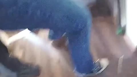 Here's why you don't plot to murder your husband PT 1