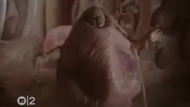 Layo & Bushwacka! - Love Story