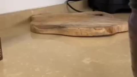 Satisfying kitchen restocking