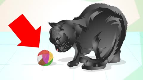 Basic cat training tips and tricks