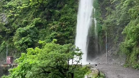 Nature's love