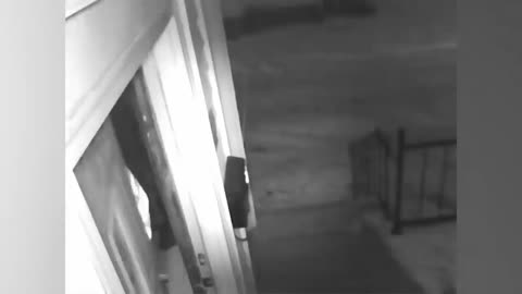 FAILS CAUGHT on SECURITY Cameras! 😂 | Funny Videos | AFV 2019