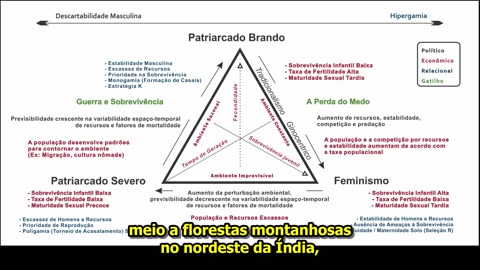 O Ciclo Da História Da Vida3- O Fator Medo - TFM