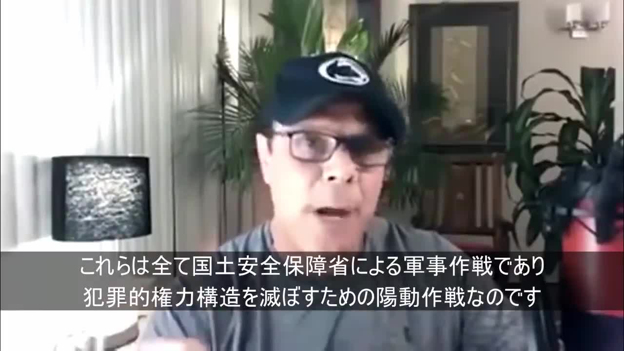 【転載】リンウッド弁護士が「真実だから観ろ」と言っていた動画に日本語字幕つけました【拡散】YouTube Banned This Video