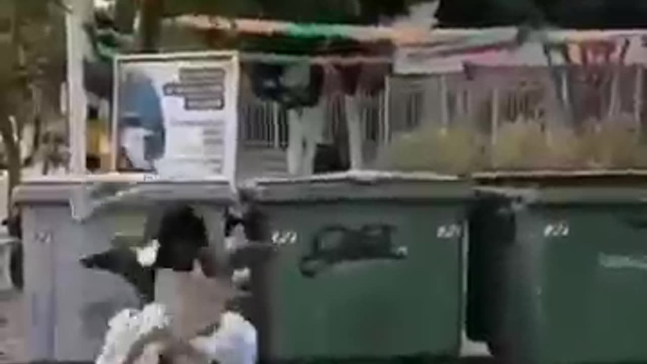 Cgohpbo